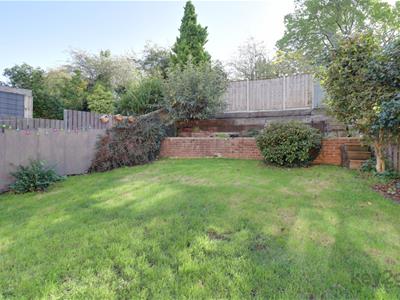 Picture 28